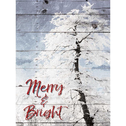 Merry and Bright Black Modern Wood Framed Art Print with Double Matting by Villa, Milli