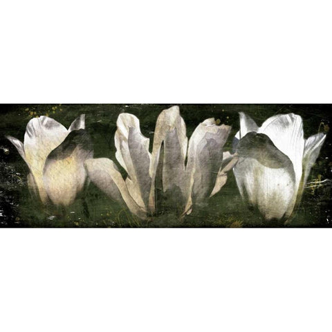 Three Tulips Black Modern Wood Framed Art Print by Villa, Milli