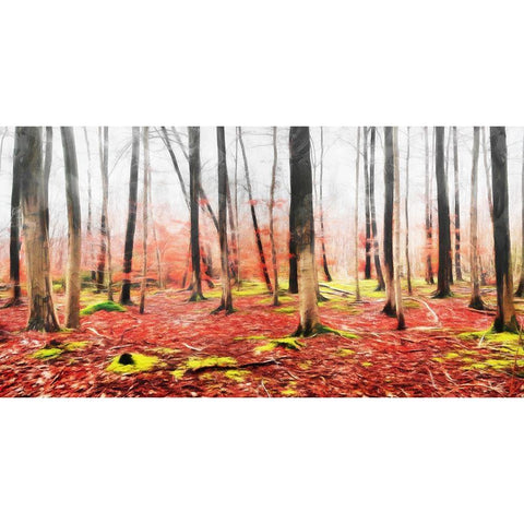 Fall In The Woods Gold Ornate Wood Framed Art Print with Double Matting by Villa, Mlli