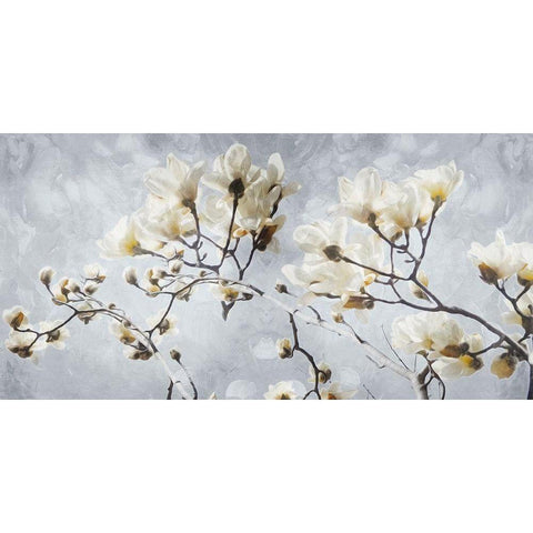 White Flowers In Grey Gold Ornate Wood Framed Art Print with Double Matting by Villa, Mlli