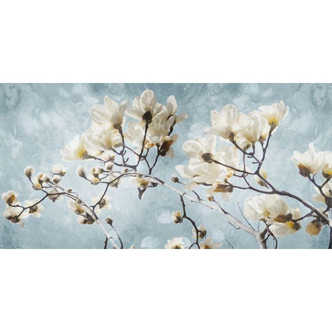 White Flowers In Blue Gold Ornate Wood Framed Art Print with Double Matting by Villa, Mlli