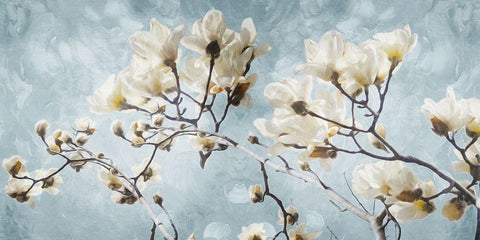 White Flowers In Blue Black Ornate Wood Framed Art Print with Double Matting by Villa, Mlli