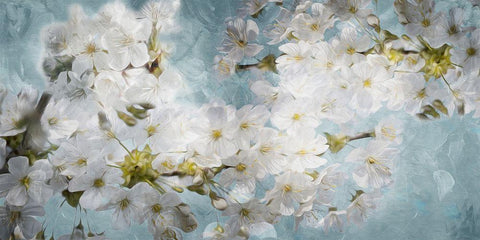 More White Flowers In Blue White Modern Wood Framed Art Print with Double Matting by Villa, Mlli