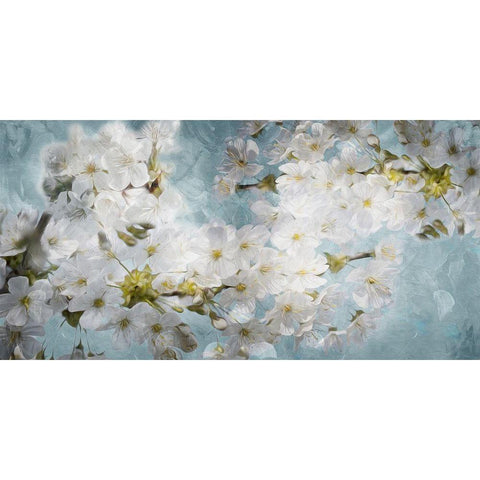 More White Flowers In Blue Black Modern Wood Framed Art Print with Double Matting by Villa, Mlli