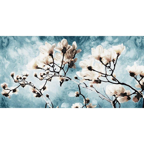 Bloom Through Black Modern Wood Framed Art Print with Double Matting by Villa, Mlli