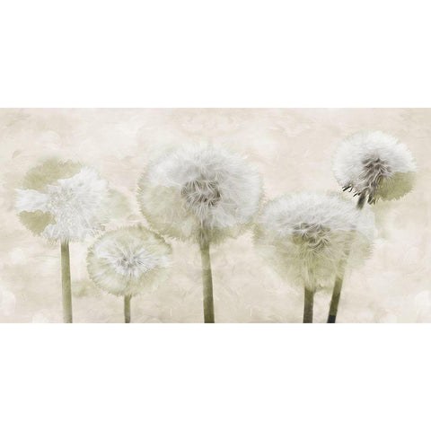 Make Another Wish Black Modern Wood Framed Art Print by Villa, Mlli