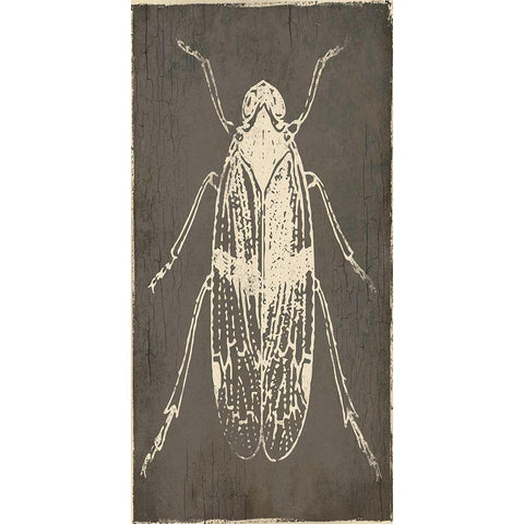 Bug Life One Black Modern Wood Framed Art Print by Villa, Mlli