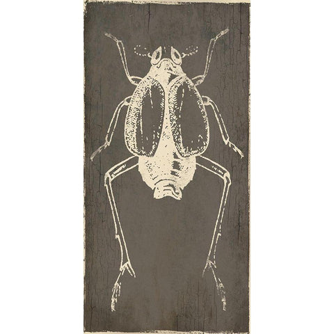 Bug Life Two Gold Ornate Wood Framed Art Print with Double Matting by Villa, Mlli