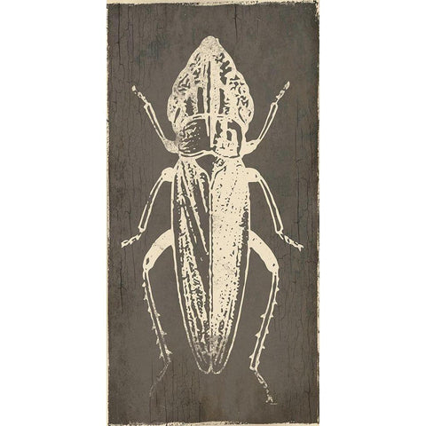 Bug Life Three Gold Ornate Wood Framed Art Print with Double Matting by Villa, Mlli