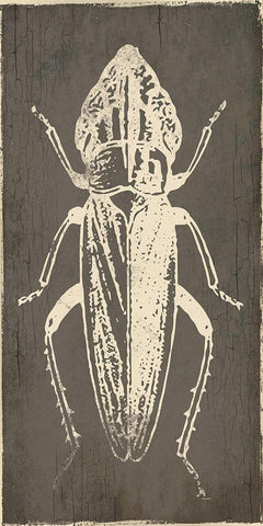 Bug Life Three White Modern Wood Framed Art Print with Double Matting by Villa, Mlli