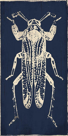 Bug Life Blue Four Black Ornate Wood Framed Art Print with Double Matting by Villa, Milli