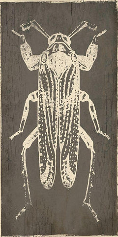 Bug Life Four White Modern Wood Framed Art Print with Double Matting by Villa, Mlli