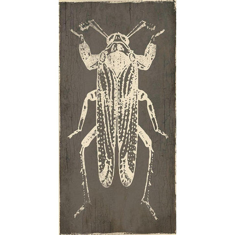 Bug Life Four Black Modern Wood Framed Art Print by Villa, Mlli