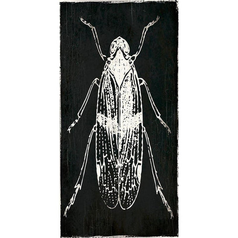 Bug Life One Black White Modern Wood Framed Art Print by Villa, Mlli