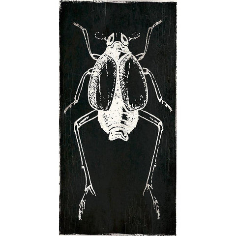 Bug Life Two Black White Modern Wood Framed Art Print by Villa, Mlli