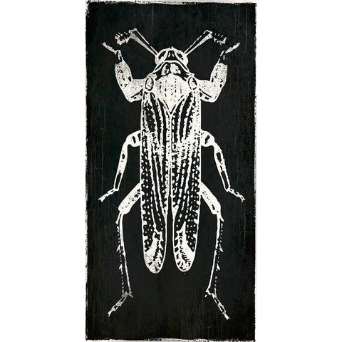 Bug Life Four Black White Modern Wood Framed Art Print by Villa, Mlli