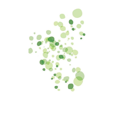 Turtle Spots Mate Black Modern Wood Framed Art Print with Double Matting by Villa, Mlli