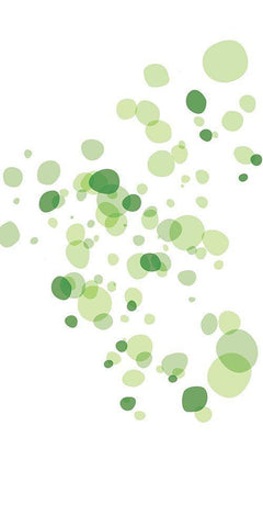 Turtle Spots Mate White Modern Wood Framed Art Print with Double Matting by Villa, Mlli