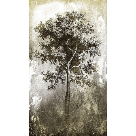 Tree In The Gloom Black Modern Wood Framed Art Print with Double Matting by Villa, Milli