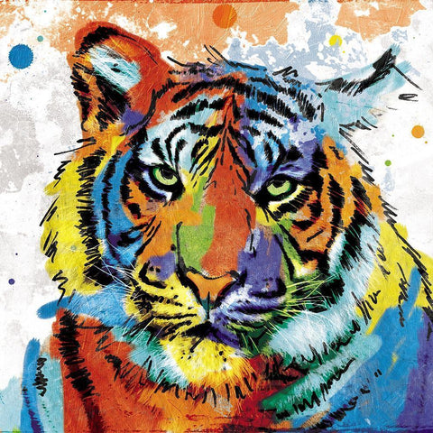 Tiger Rainbow White Modern Wood Framed Art Print with Double Matting by Villa, Mlli