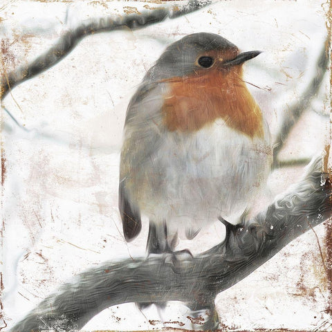 Cold Bird Black Modern Wood Framed Art Print with Double Matting by Villa, Mlli