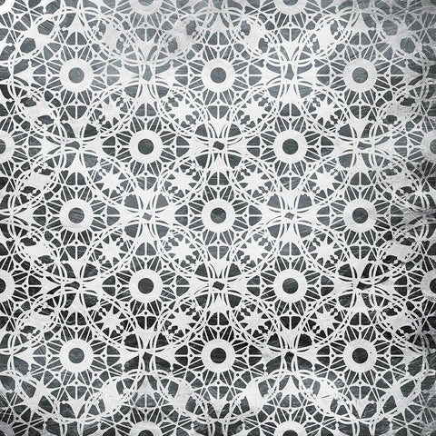 Silver Scope White Modern Wood Framed Art Print with Double Matting by Villa, Mlli