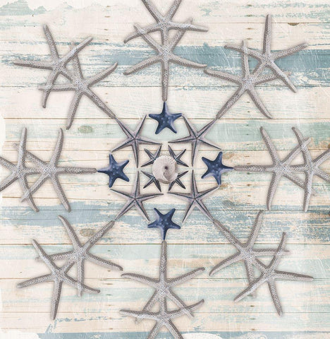 Star Flake 2 White Modern Wood Framed Art Print with Double Matting by Villa, Milli
