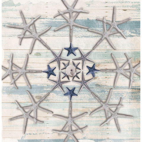 Star Flake 2 Black Modern Wood Framed Art Print by Villa, Milli