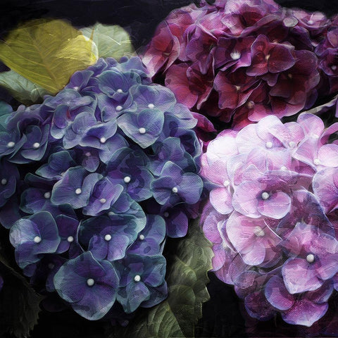 Purple Flower Bushels Black Ornate Wood Framed Art Print with Double Matting by Villa, Mlli