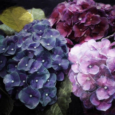 Purple Flower Bushels Black Modern Wood Framed Art Print with Double Matting by Villa, Mlli