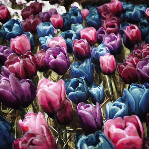 Colorful Tulips White Modern Wood Framed Art Print by Villa, Mlli