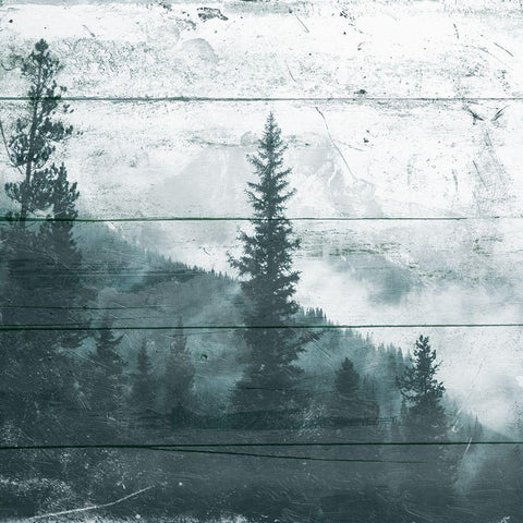 Fog On The Forest White Modern Wood Framed Art Print with Double Matting by Villa, Mlli