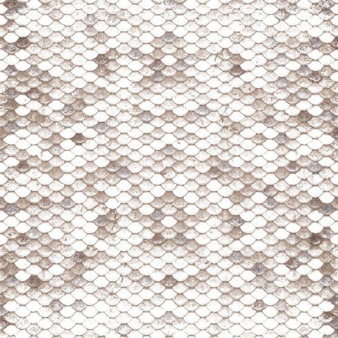 White Stone Scales White Modern Wood Framed Art Print with Double Matting by Villa, Mlli