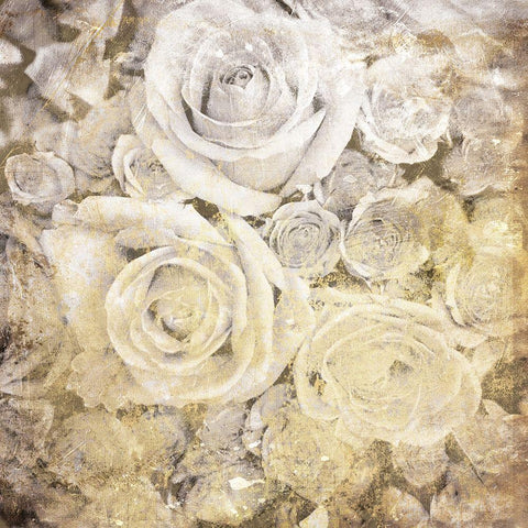 Soft White Yellow Roses White Modern Wood Framed Art Print by Villa, Mlli
