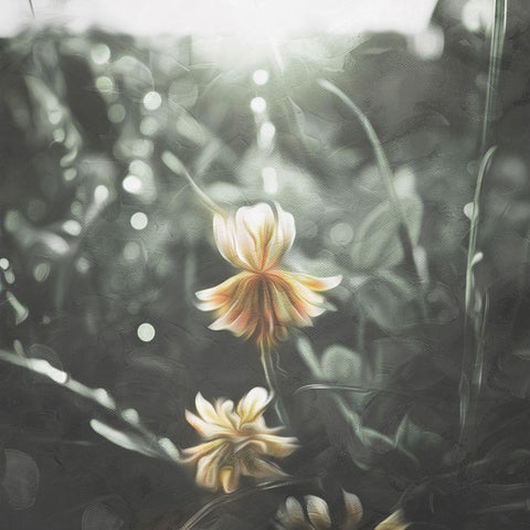 Flower In The Sun White Modern Wood Framed Art Print with Double Matting by Villa, Mlli