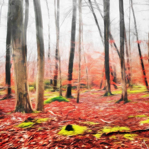 Fall Leaves White Modern Wood Framed Art Print with Double Matting by Villa, Mlli