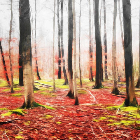 Fall Leaves Mate White Modern Wood Framed Art Print by Villa, Mlli