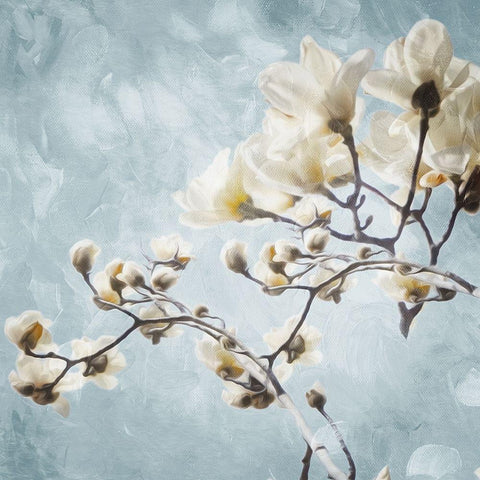Tree Of White Flowers White Modern Wood Framed Art Print by Villa, Mlli