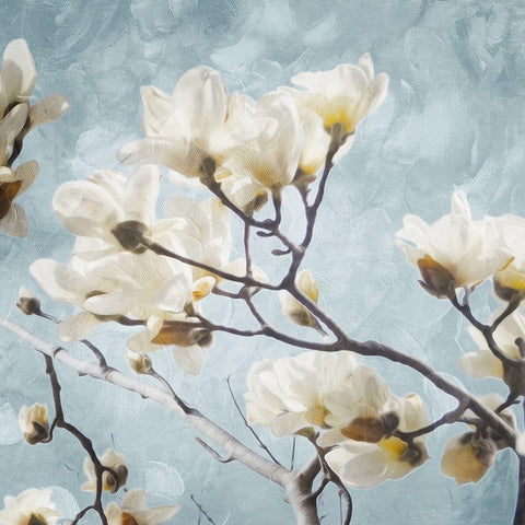 Tree Of White Flowers Mate White Modern Wood Framed Art Print by Villa, Mlli