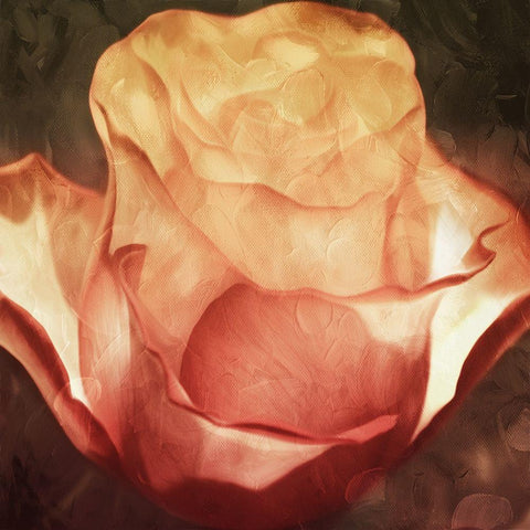 Fire Flower Black Ornate Wood Framed Art Print with Double Matting by Villa, Mlli