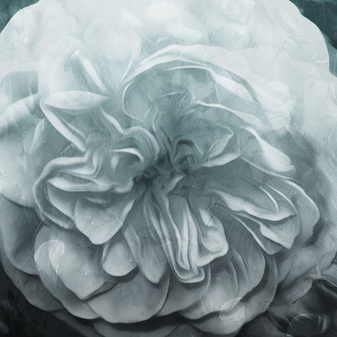 Deep Flower White Modern Wood Framed Art Print with Double Matting by Villa, Mlli