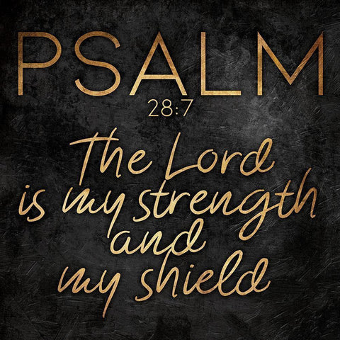 Gold Bold Lord Black Modern Wood Framed Art Print with Double Matting by Villa, Mlli