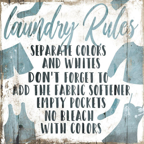 Laundry Rules Separate Black Ornate Wood Framed Art Print with Double Matting by Villa, Mlli