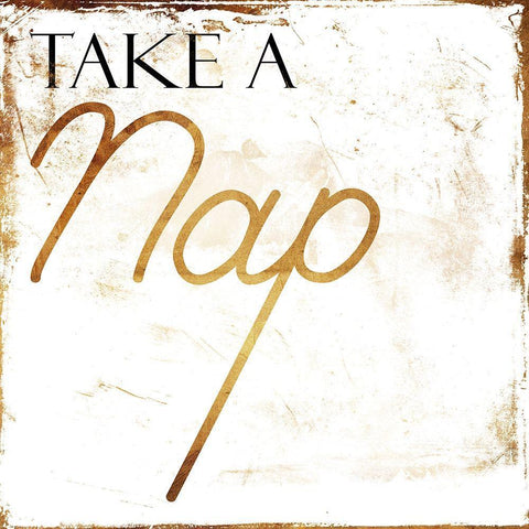 Take A Nap Black Ornate Wood Framed Art Print with Double Matting by Villa, Mlli