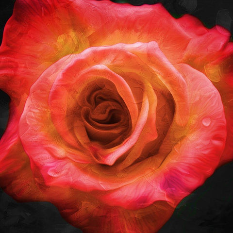 Burning Flower Black Modern Wood Framed Art Print by Villa, Mlli