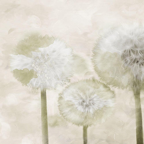 Make A Wish Cream Black Modern Wood Framed Art Print by Villa, Mlli
