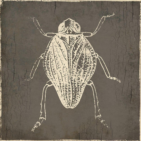 Bug Life One Gold Ornate Wood Framed Art Print with Double Matting by Villa, Mlli