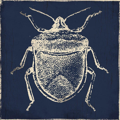 Bug Life Blue Two Black Modern Wood Framed Art Print with Double Matting by Villa, Milli