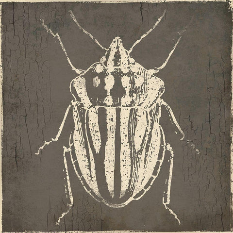 Bug Life Three Black Modern Wood Framed Art Print by Villa, Mlli