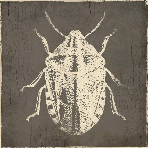 Bug Life Four White Modern Wood Framed Art Print by Villa, Mlli
